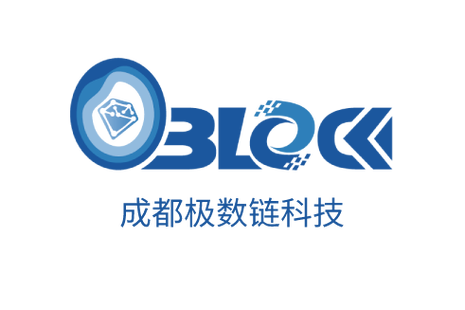 成都極數鏈科技 賦能數字未來的網絡技術服務專家